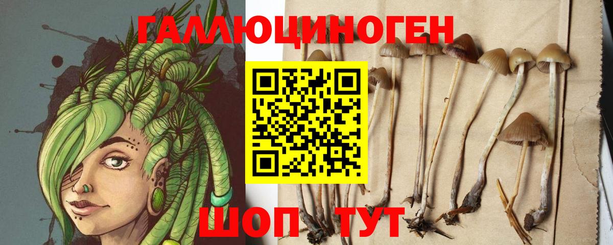 Моздок  Галлюциногенные грибы GOLDEN TEACHER  Вход с VPN 