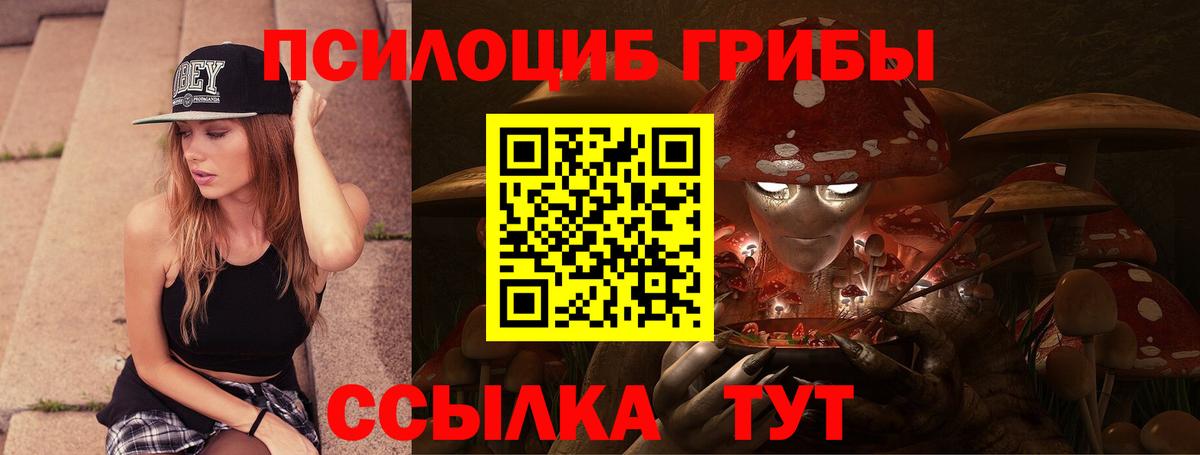 Галлюциногенные грибы GOLDEN TEACHER Моздок